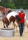 Photo albulle/datas/photos/3_saison_2010/04_chavannes_des_bois_6_au_9_mai_2010/18c_animation_dressage/IMG_0674.JPG