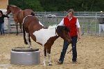 Photo albulle/datas/photos/3_saison_2010/04_chavannes_des_bois_6_au_9_mai_2010/18c_animation_dressage/IMG_0675.JPG