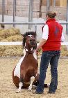 Photo albulle/datas/photos/3_saison_2010/04_chavannes_des_bois_6_au_9_mai_2010/18c_animation_dressage/IMG_0680.JPG