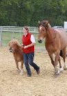 Photo albulle/datas/photos/3_saison_2010/04_chavannes_des_bois_6_au_9_mai_2010/18c_animation_dressage/IMG_0687.JPG